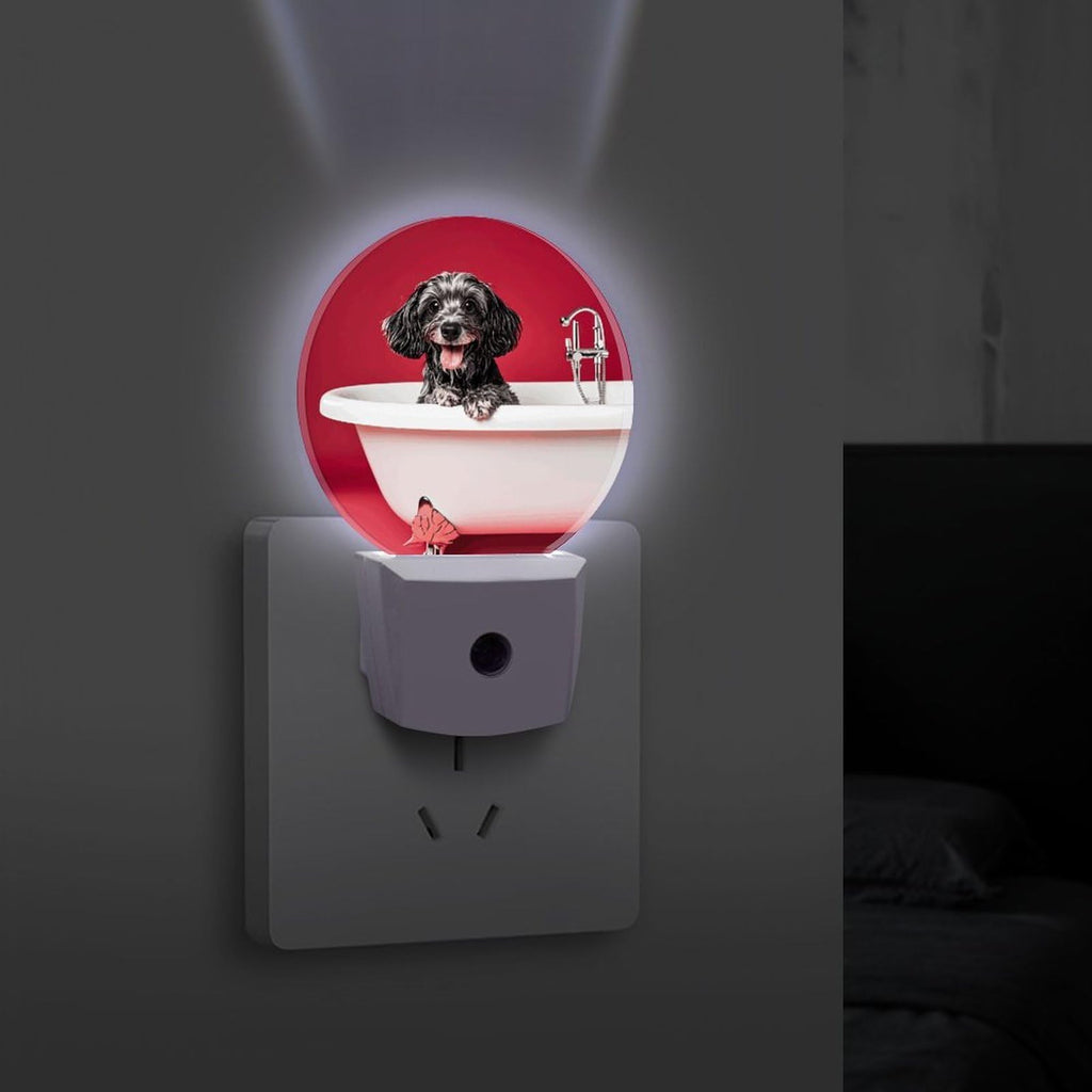 Plug-in Wall Night Light P4063