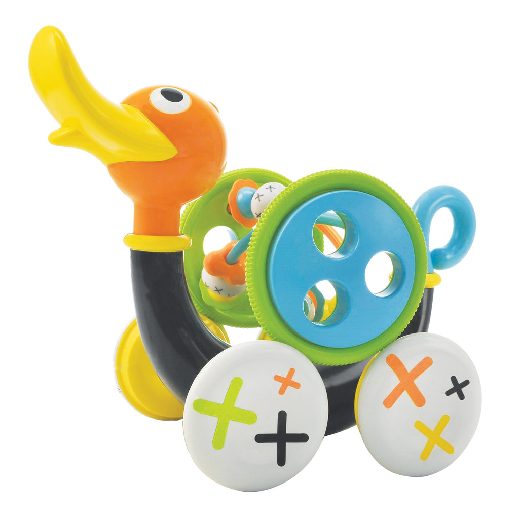 Push Pull Along Toy for Baby M258
