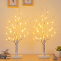 Lighted Birch Tree 2 Pack with 24 LED Battery Powered Timer B64949