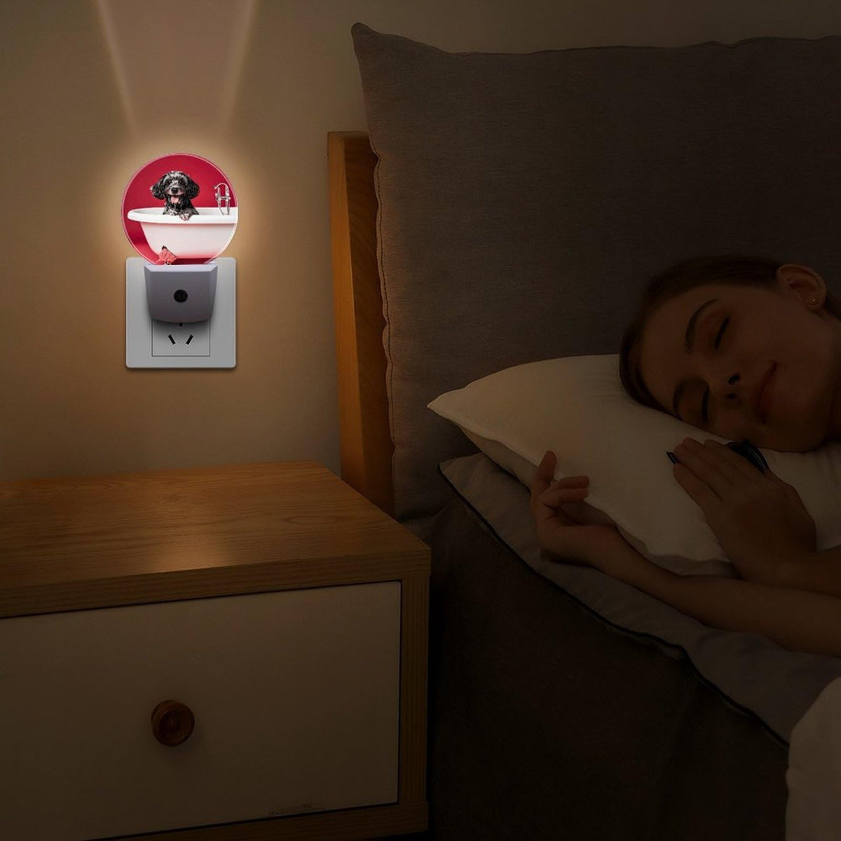 Plug-in Wall Night Light P4063