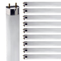 24 Inch T8 Fluorescent Tube Light Bulb 17W 2700K Warm White G13 Bi-Pin Base Pack of 10 U112
