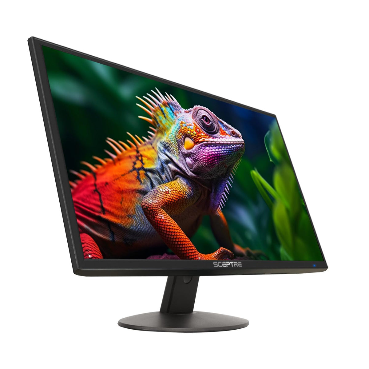 24-inch 1080p LED Monitor I230611
