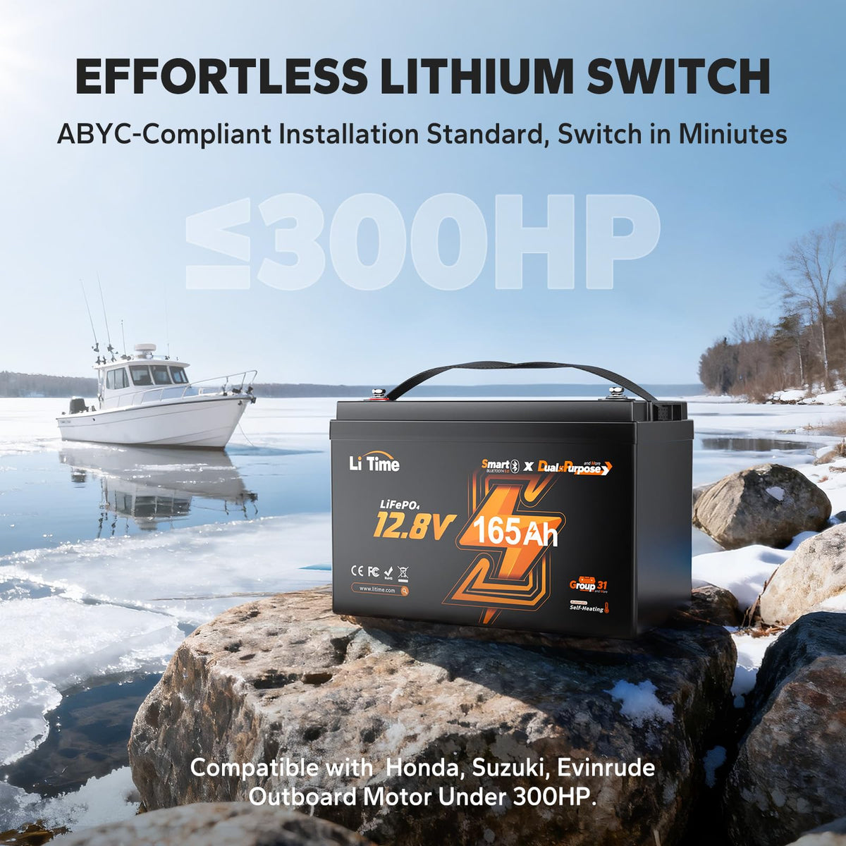 12V 165Ah Dual Purpose LiFePO4 Battery C97331