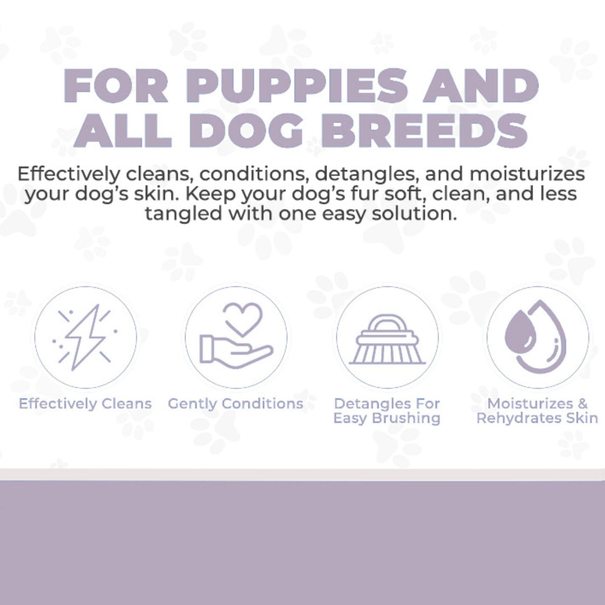 4-in-1 Dog Shampoo, Conditioner & Detangler, Lavender, 16 oz G74850