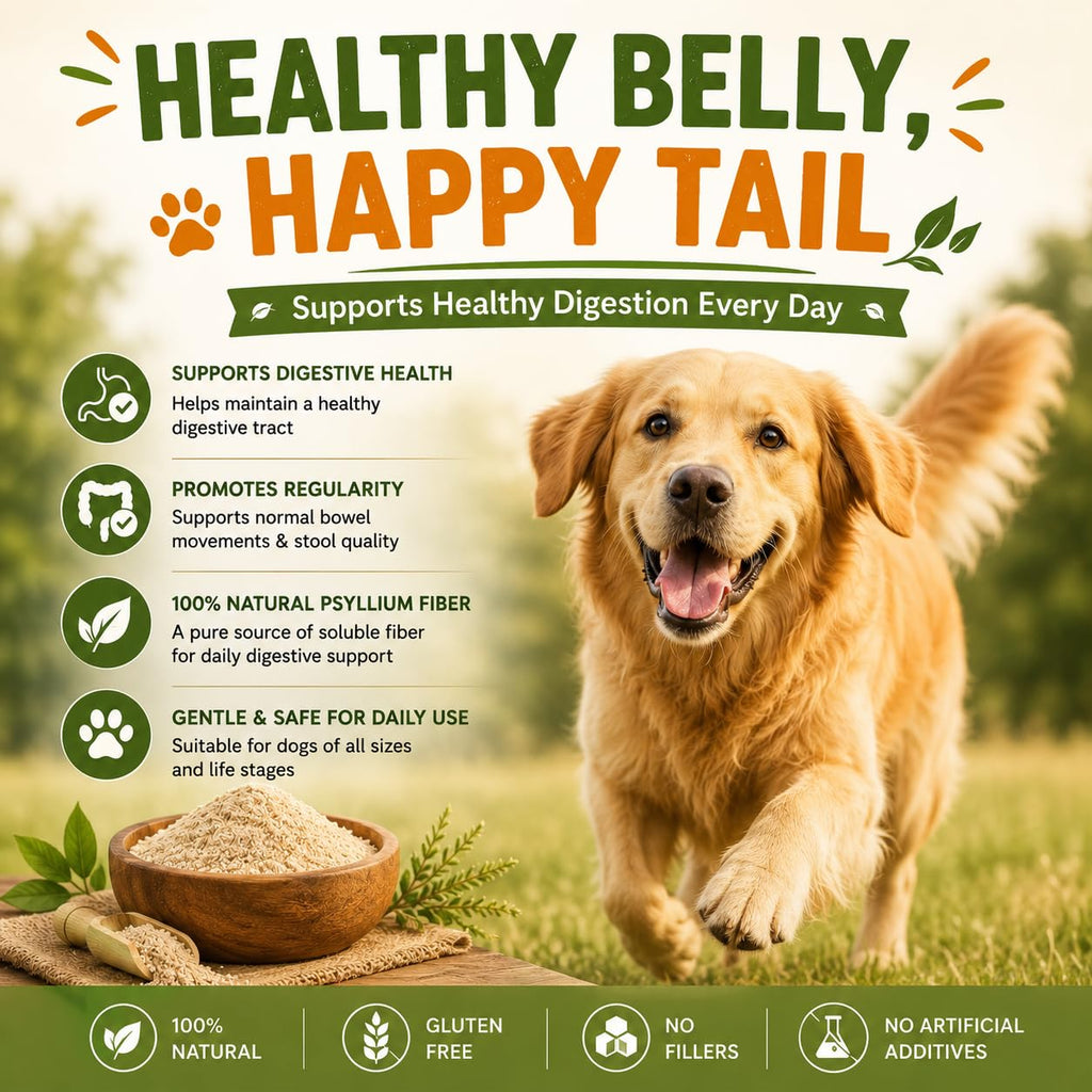 Psyllium Husk Powder for Dogs 9 oz P9073