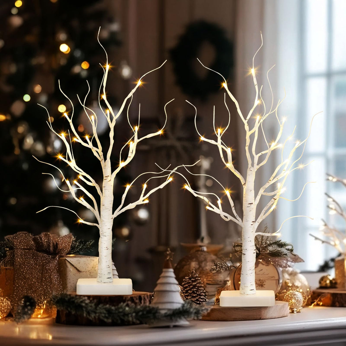 Lighted Birch Tree 2 Pack with 24 LED Battery Powered Timer B64949