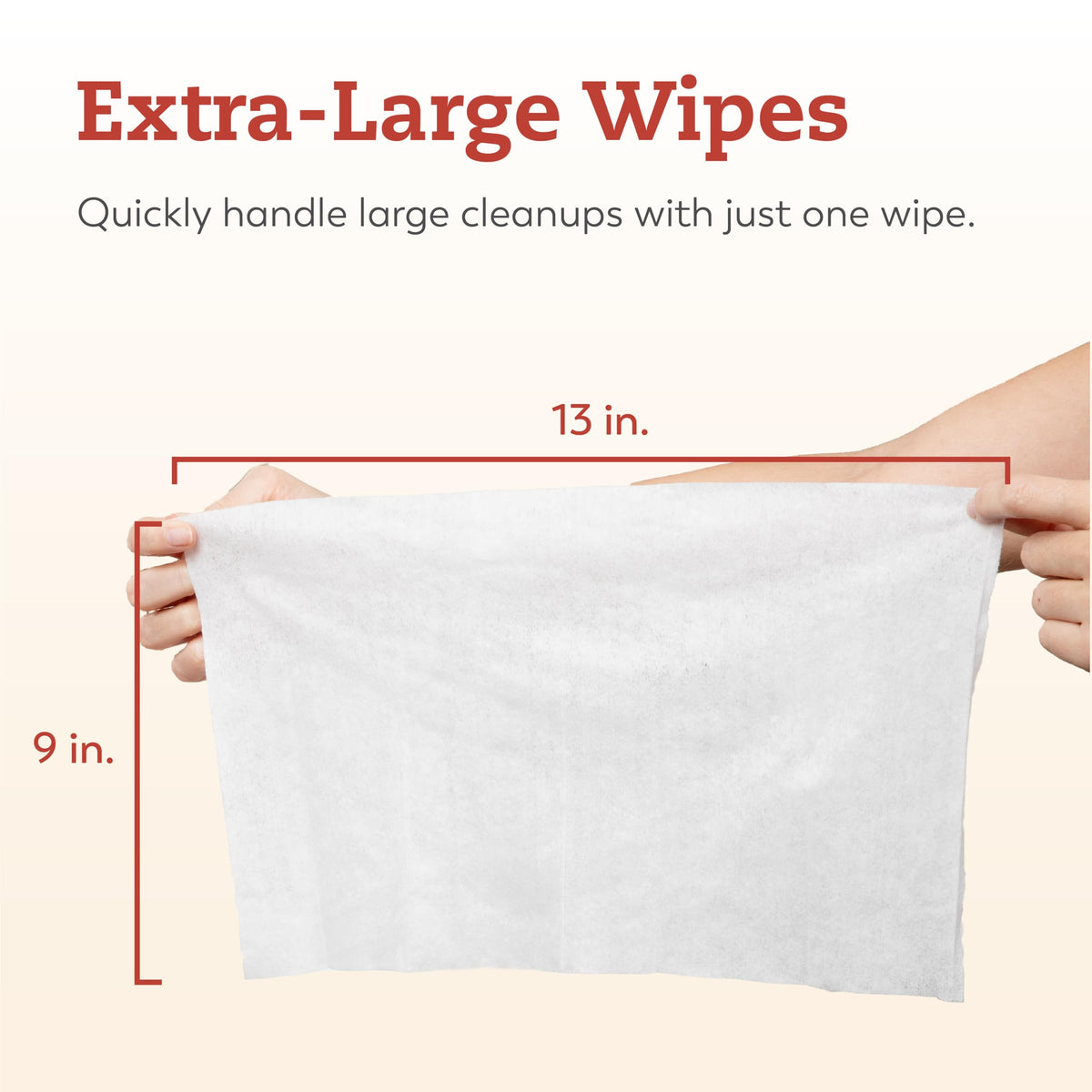 Large Briefs Starter Pack, 2 Bags + Cleansing Wipes S6943
