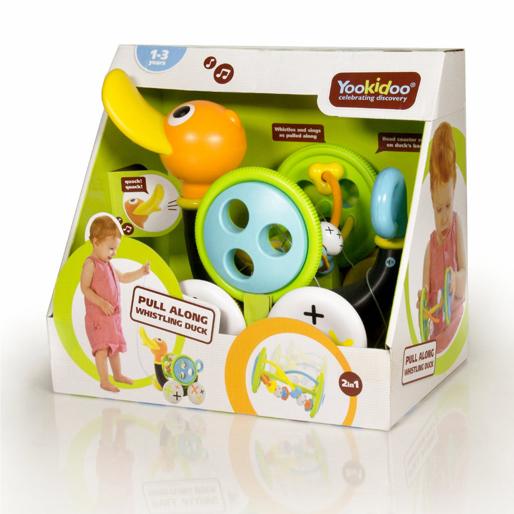 Push Pull Along Toy for Baby M258
