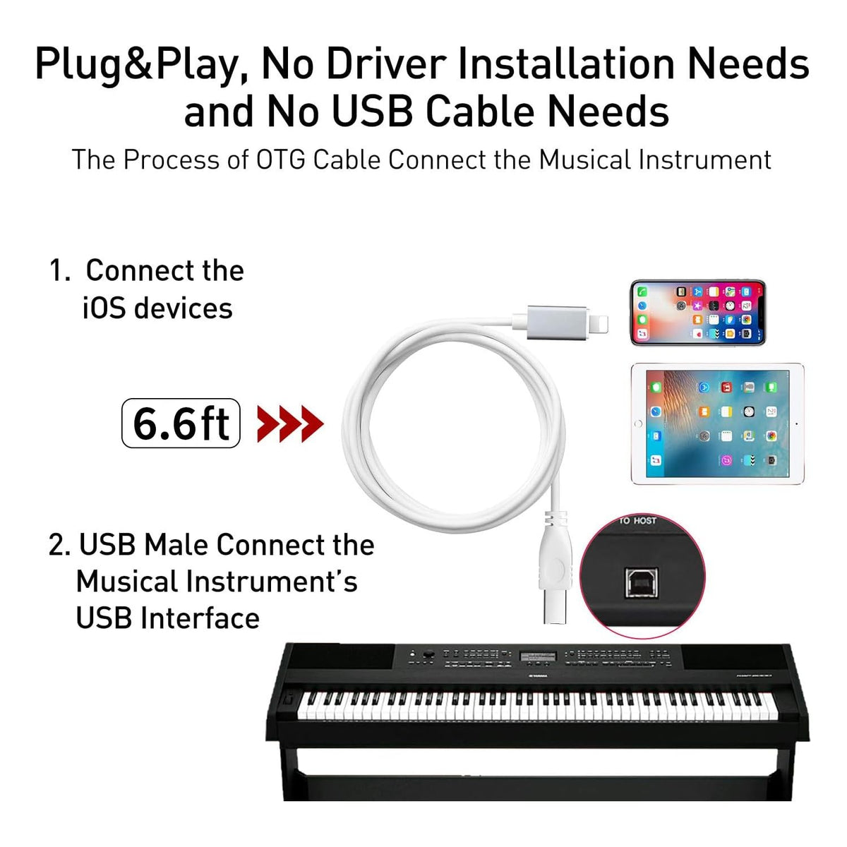 Lightning to MIDI Cable, 6.6FT Type B OTG A2208