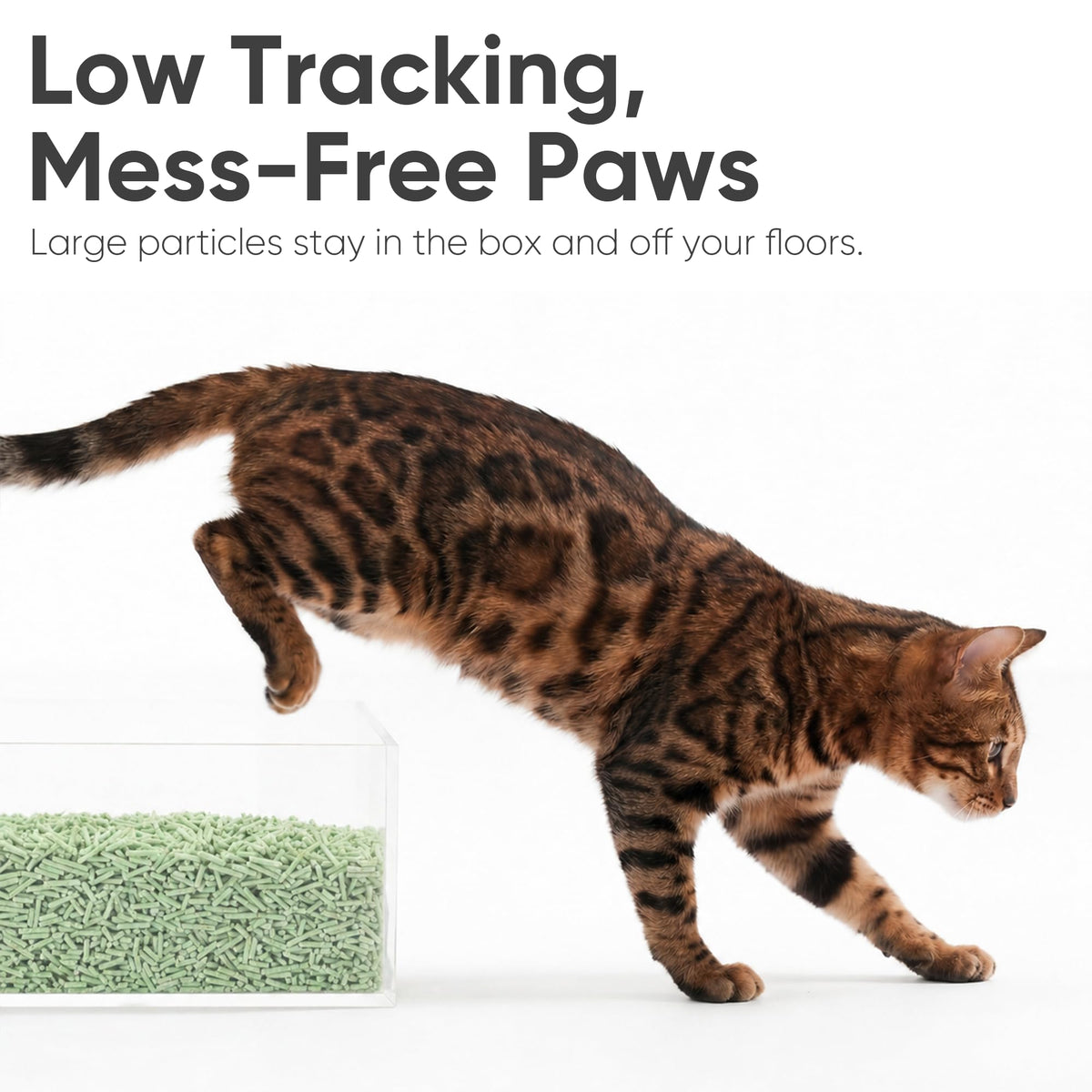 Green Tea Scented Clumping Tofu Cat Litter 12 lb X158