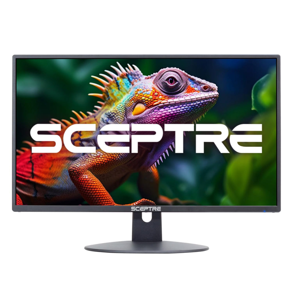24-inch 1080p LED Monitor I230611