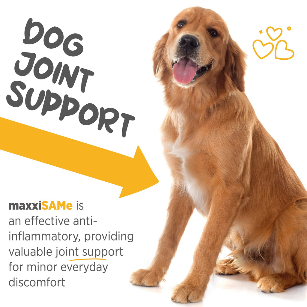 SAM-e for Dogs Liver & Cognitive Support Powder 5.3 oz F791