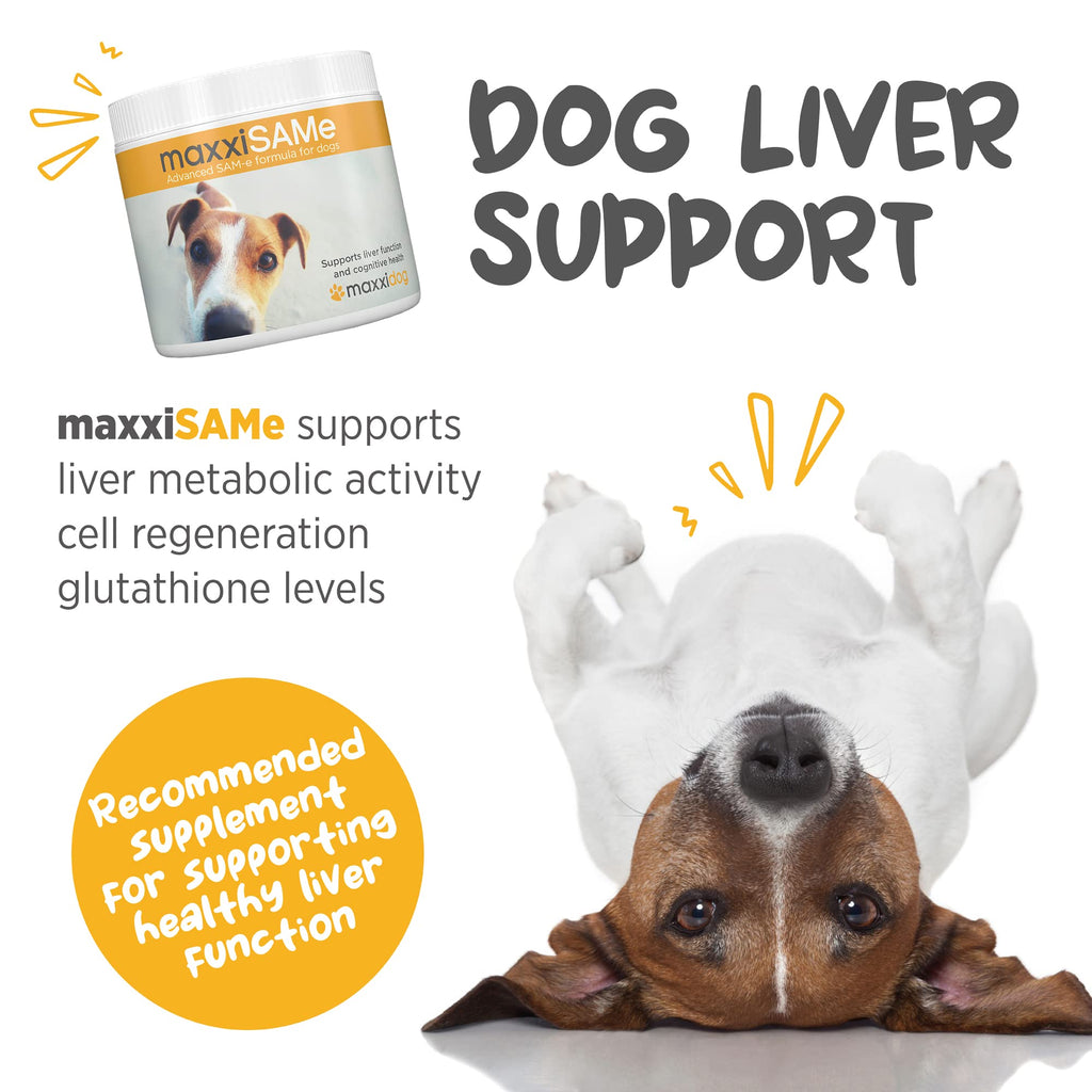 SAM-e for Dogs Liver & Cognitive Support Powder 5.3 oz F791