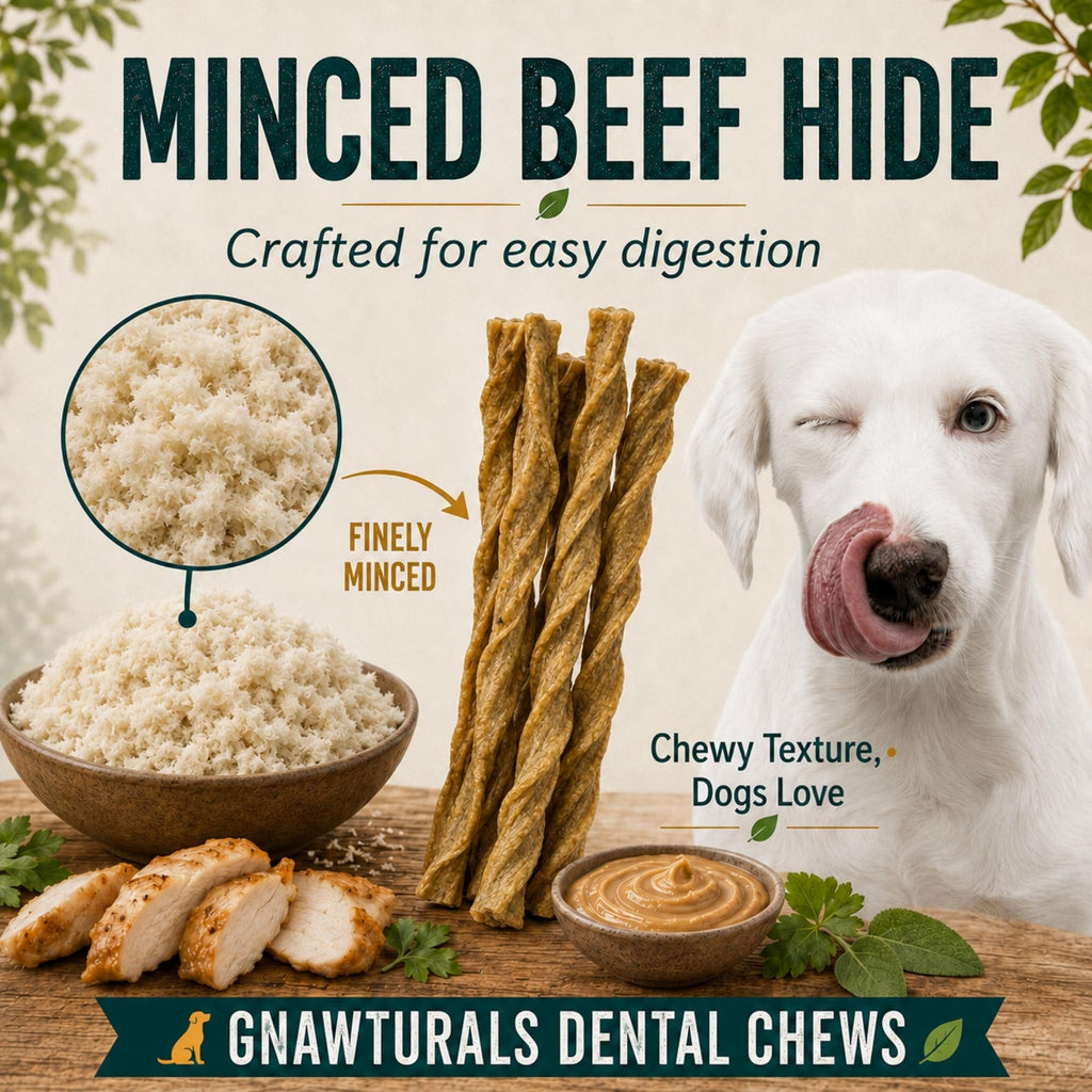 Twisted Sticks Dental Chews for Dogs (5 Sticks, Pumpkin) S747150