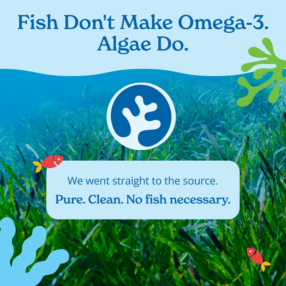 Vegan Omega 3 Algae Oil 120 Count Softgels R464