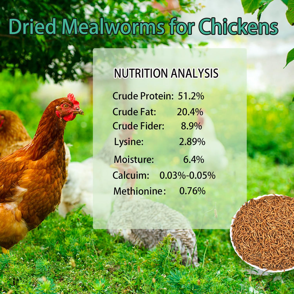 Dried Mealworms 20LB I690248