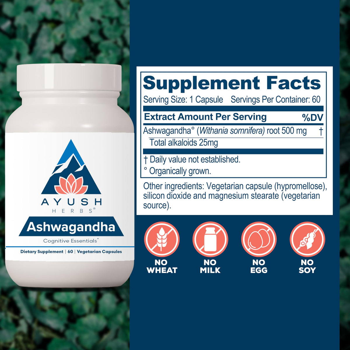 Ashwagandha Capsules 500mg 60 Servings E715295
