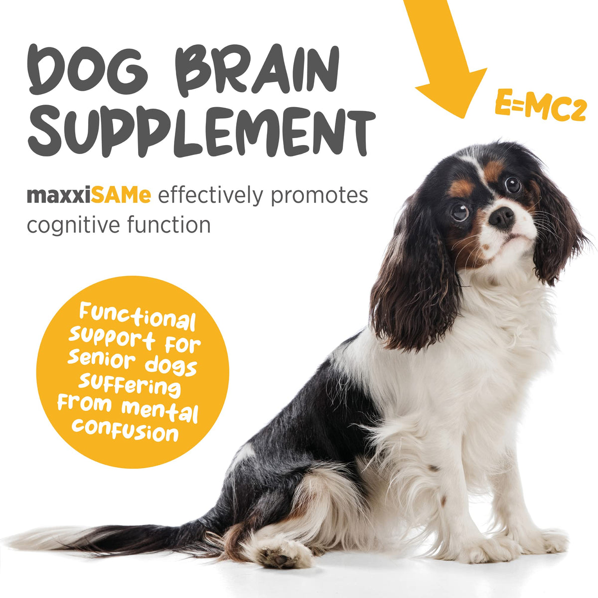 SAM-e for Dogs Liver & Cognitive Support Powder 5.3 oz F791