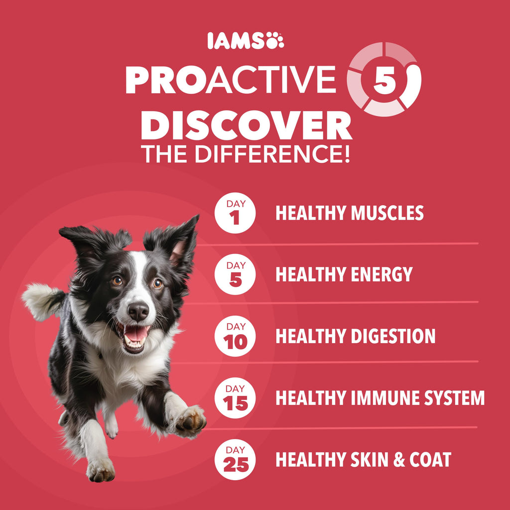 Lamb & Rice Dry Dog Food 30 lb O843