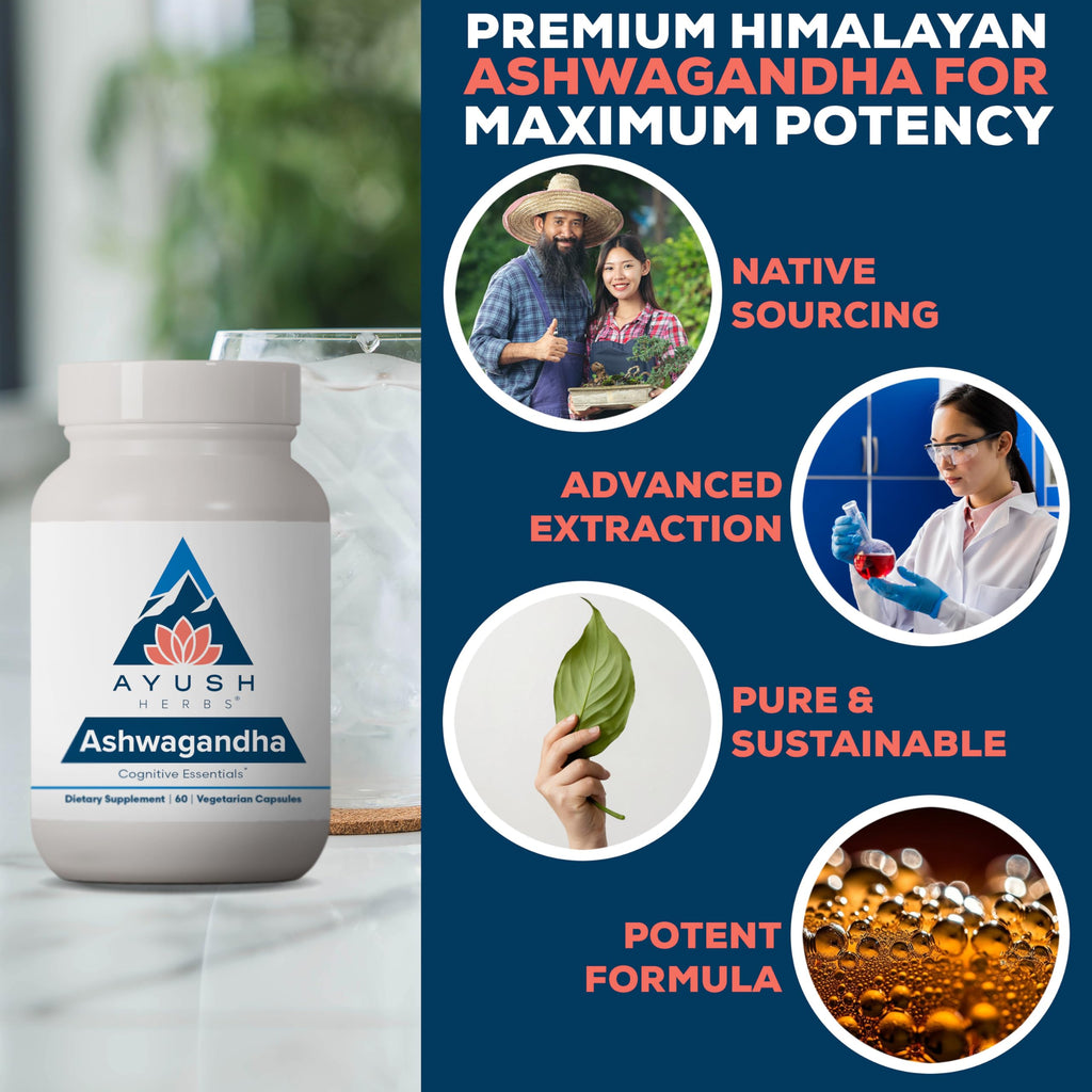 Ashwagandha Capsules 500mg 60 Servings E715295