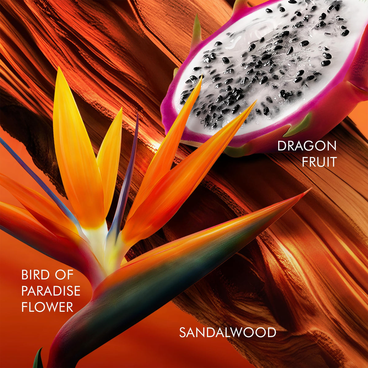 Floral Eau De Toilette with Dragon Fruit, Bird of Paradise & Sandalwood B846