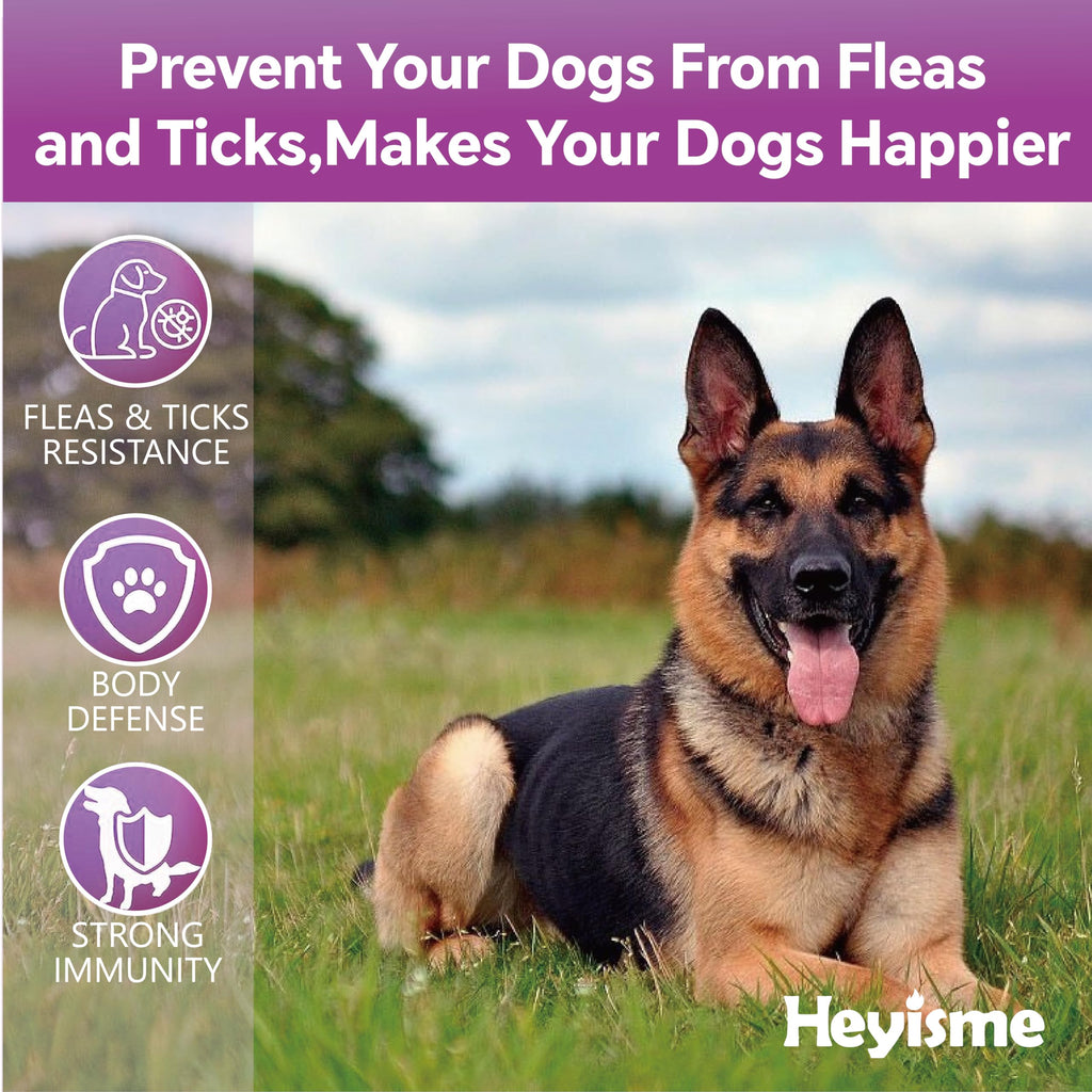 Flea and Tick Chewables for Dogs Chicken 120 Chews Q671